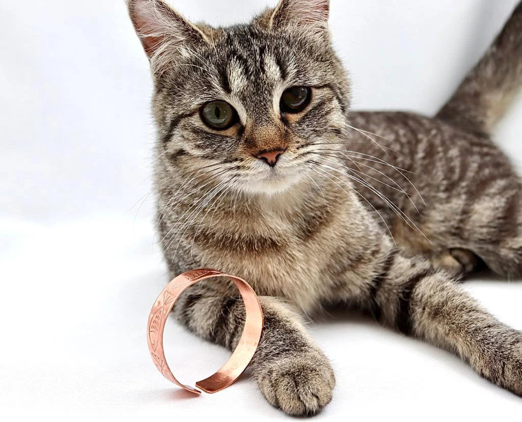 copper bracelet with Fish
