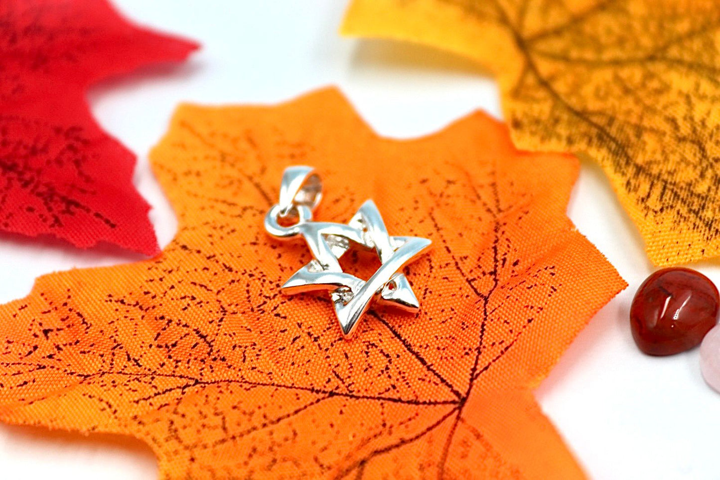 Star of David pendant.